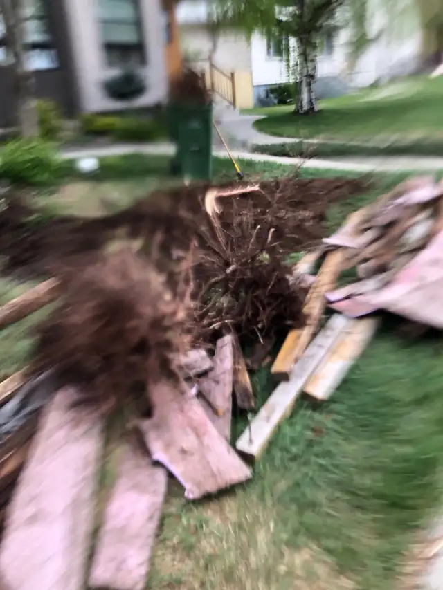 PAYLESS JUNK REMOVAL @$10