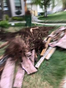 PAYLESS JUNK REMOVAL @$10