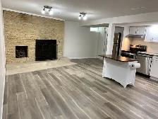 Legal 2 bedroom basement suite Rundle NE