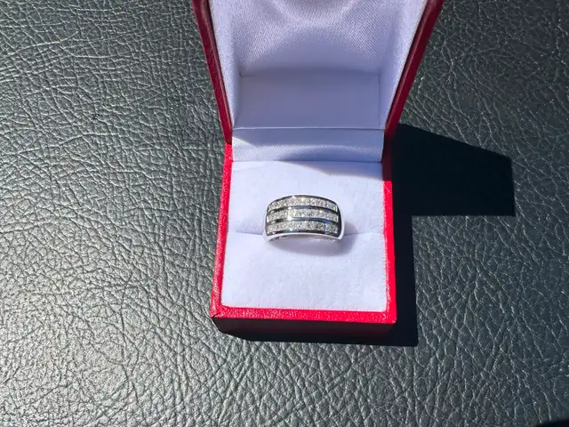 #813 - 14kt White Gold, Princess Cut Diamond Band, Size 6 - Photo 2