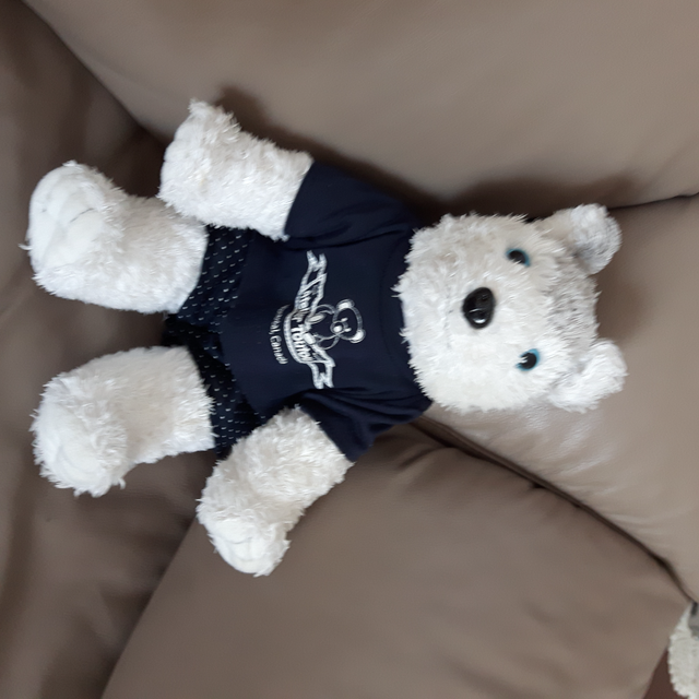 CHIEN BLANC BALTAYAR HUSKY 17'HAU HABIT BLEUE MARIN BLANC $20.00 - Photo 3