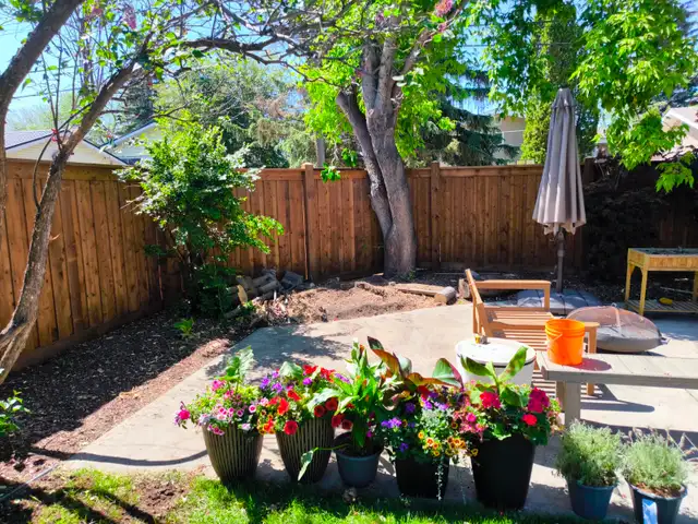 Edmonton Fence Builders — 11 Years, Licensed, Insured, 2-Yr Warr - Photo 6