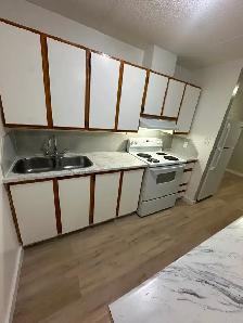 Two Bedroom Available Now in Minnow Lake - Photo 2