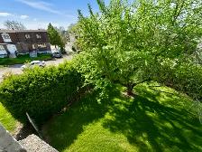 Logement à louer - Photo 2