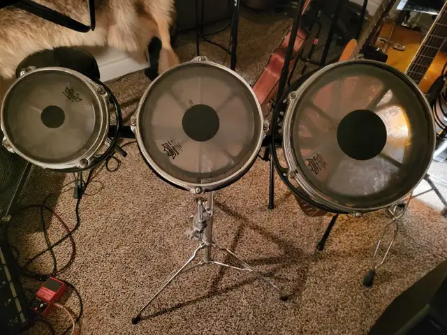 Remo Rototom Drums