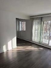 Large 2 BDRM in Old Strathcona! Top Flr, S. Facing Balcony! - Photo 2