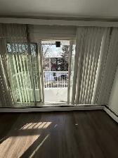 Large 2 BDRM in Old Strathcona! Top Flr, S. Facing Balcony! - Photo 3