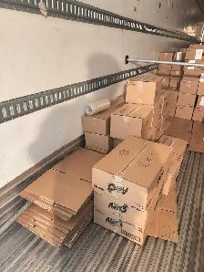 Reliable Worker Available