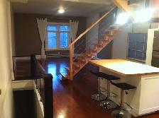 Prime South Riverdale: Renovated 2-Storey Row House