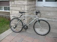 Raleigh Mens Mountain Bicycle