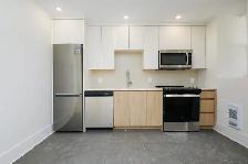 Room in renovated 4 1/2, Plateau, June 1 — utilities included