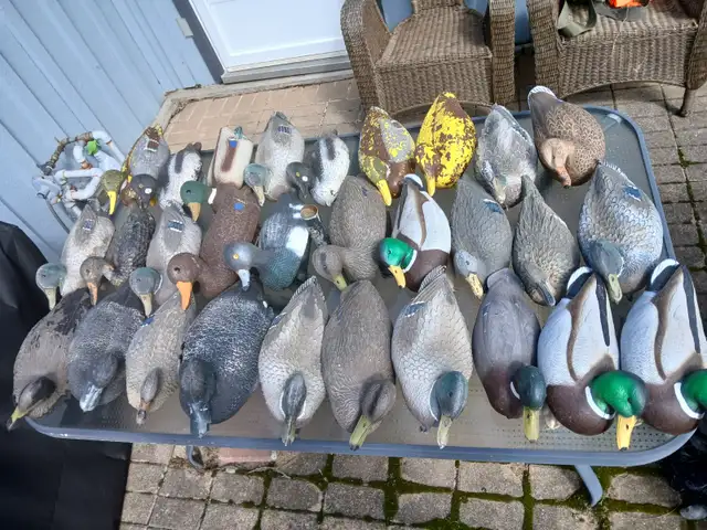 Duck decoys - Photo 3