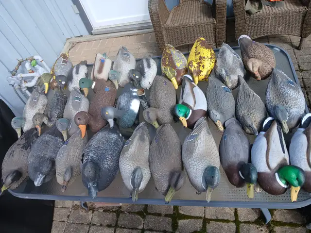 Duck decoys - Photo 4