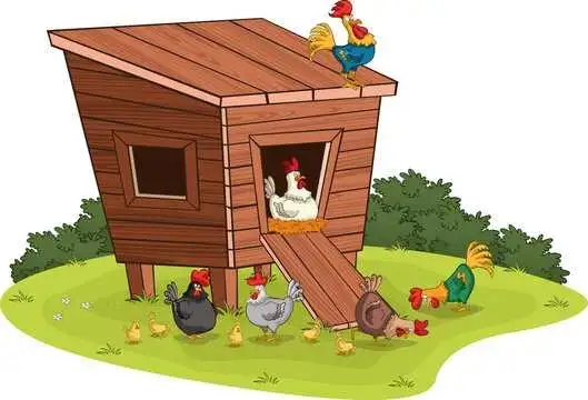 We're looking for someone to assist us in cleaning up a chicken