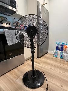 Stand Fan Excellent Condition