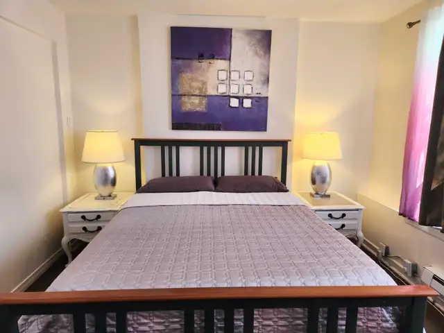 May 24th - Weekly Furnished Room rental in Kensington Market - Photo 3