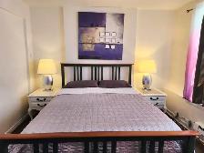 May 24th - Weekly Furnished Room rental in Kensington Market - Photo 3