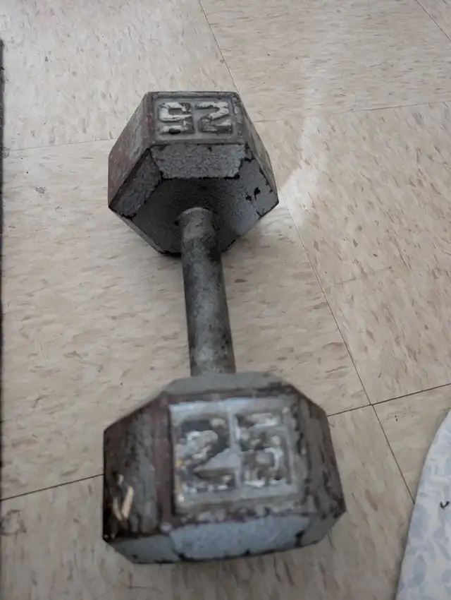 25lb dumbbell