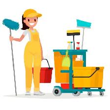 House Cleaning- Burlington