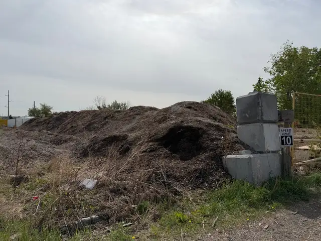 Free Mulch! Please read ad - Photo 3