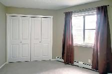 Spacious 2 Bedroom Apartment for Rent at Watt Drive - Photo 6