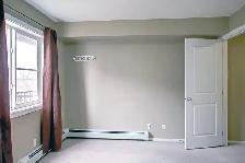 Spacious 2 Bedroom Apartment for Rent at Watt Drive - Photo 7