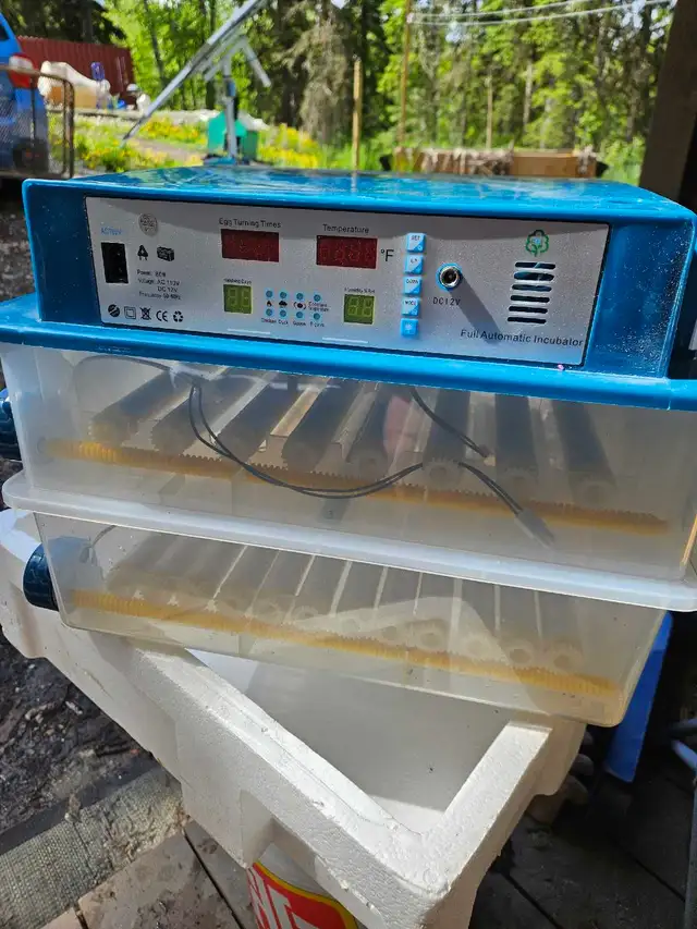 120 egg incubator