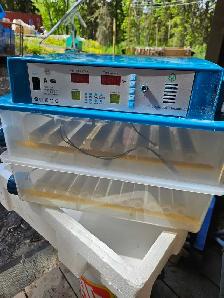 120 egg incubator