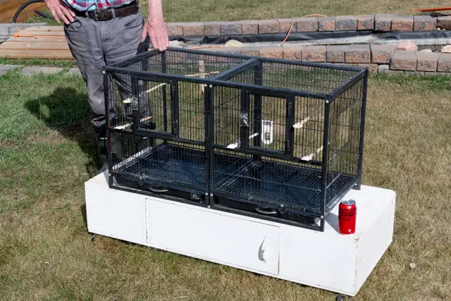 Small Bird Breeding Cage