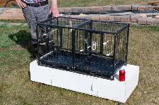 Small Bird Breeding Cage