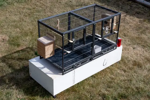 Small Bird Breeding Cage - Photo 2