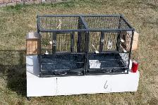 Small Bird Breeding Cage - Photo 3
