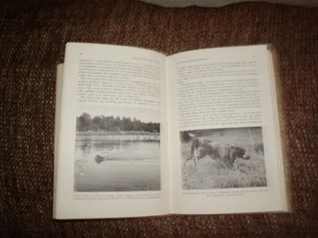 HUNTING DIG KNOW-HOW by David Michael Duffey #B-176 - Photo 2
