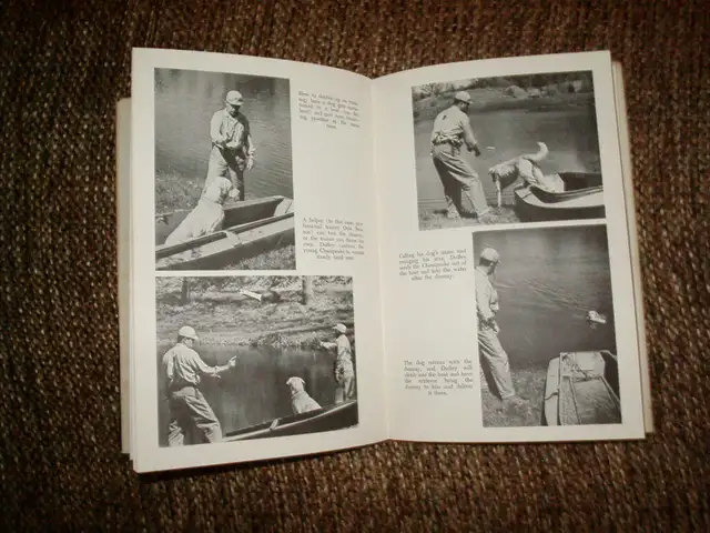 HUNTING DIG KNOW-HOW by David Michael Duffey #B-176 - Photo 5