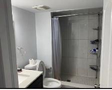 2 bedrooms basement for rent in Brampton. - Photo 7