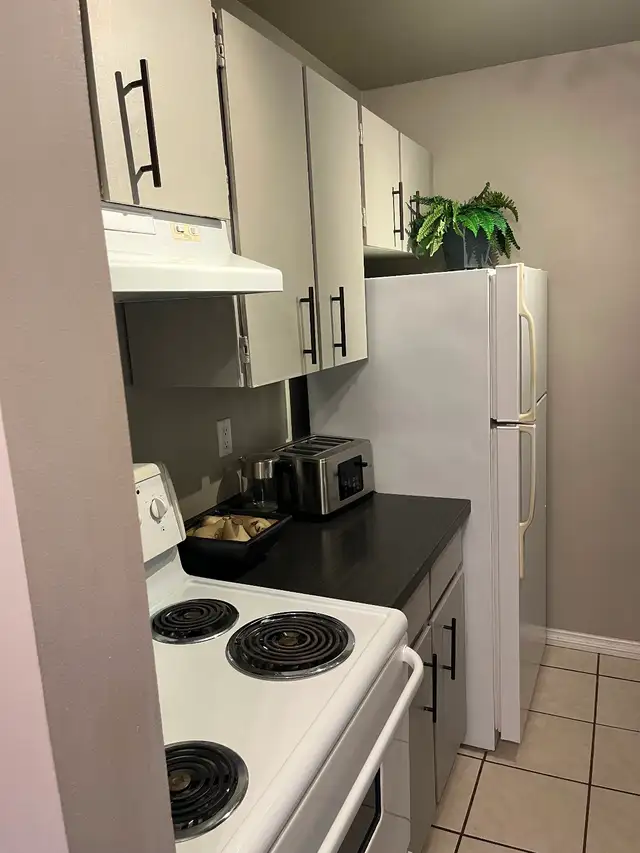 Gorgeous 1 bedroom avail June 1st - Photo 7
