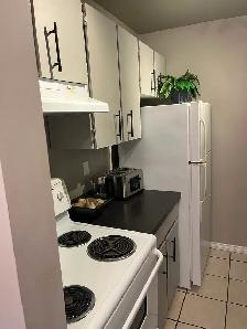 Gorgeous 1 bedroom avail June 1st - Photo 7