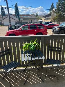 Gorgeous 1 bedroom avail June 1st - Photo 8