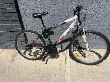 Sport Tek Bike