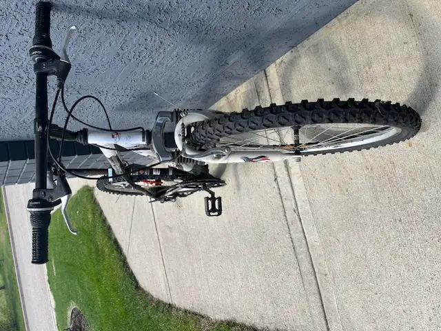 Sport Tek Bike - Photo 2