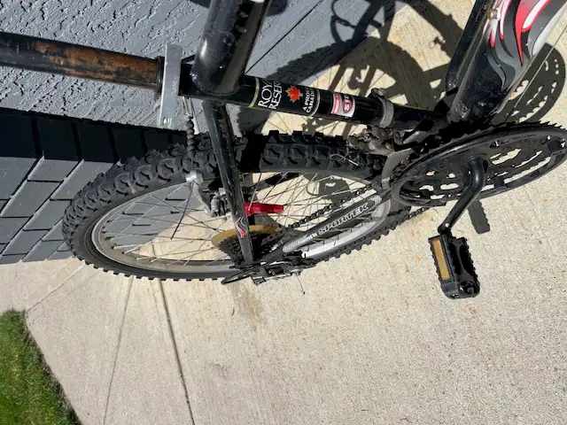 Sport Tek Bike - Photo 3