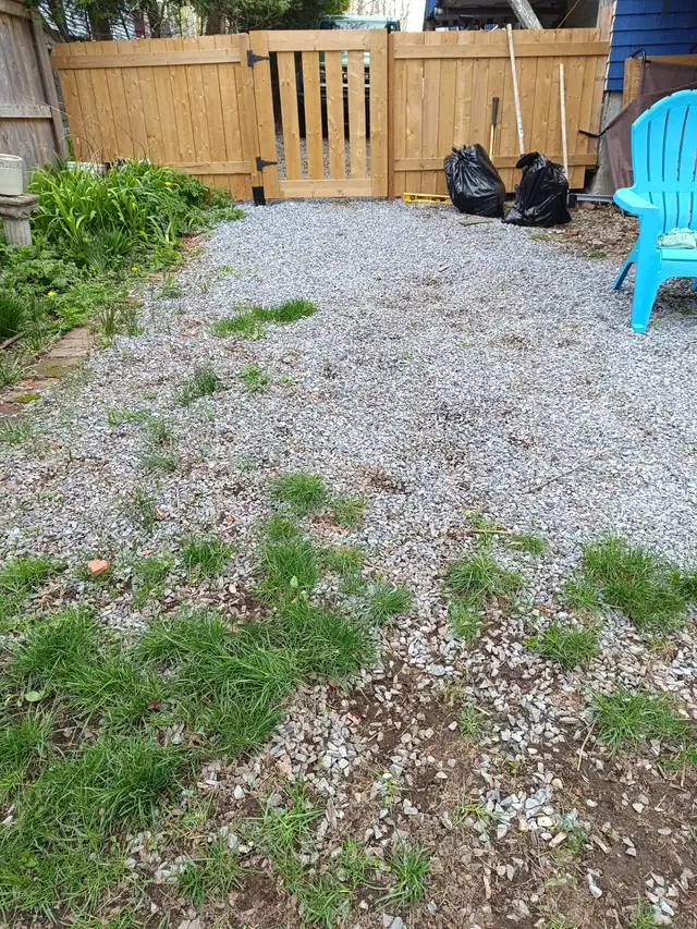 Professional Pooper Scooper Service – Saint John & KV Area! - Photo 4