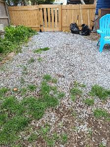 Professional Pooper Scooper Service – Saint John & KV Area! - Photo 4