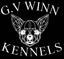 German Shepard Puppy Ready Now - Photo 3