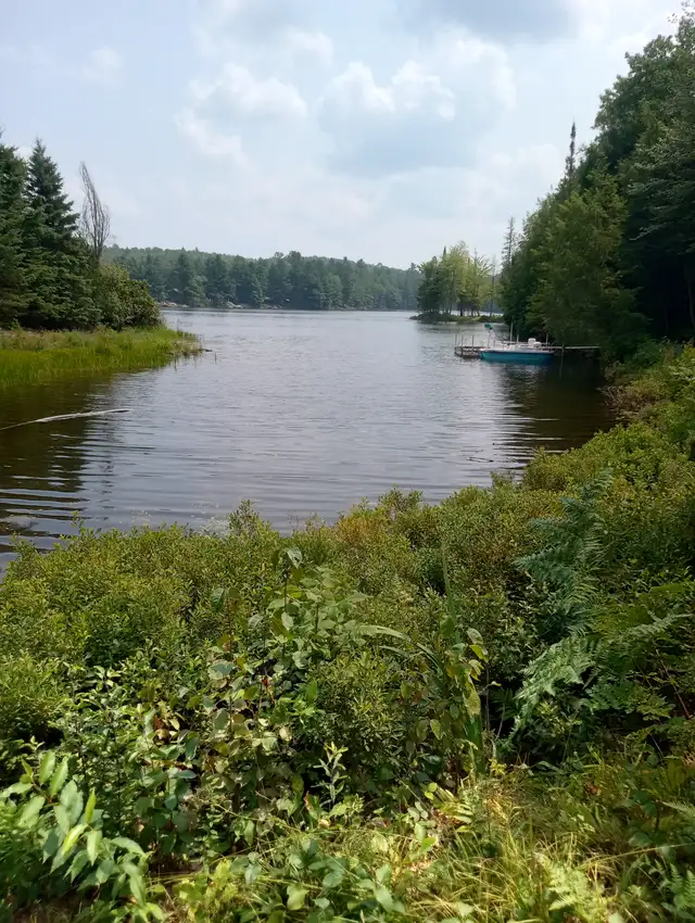 Recreational Property