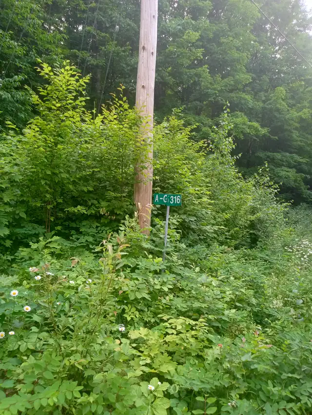 Recreational Property - Photo 2