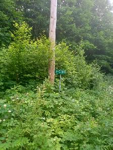 Recreational Property - Photo 2