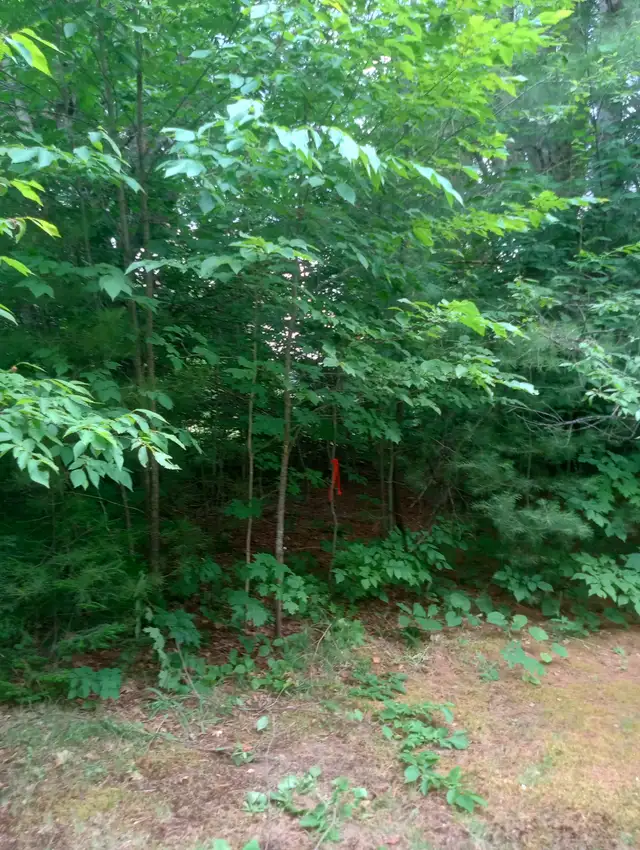 Recreational Property - Photo 3