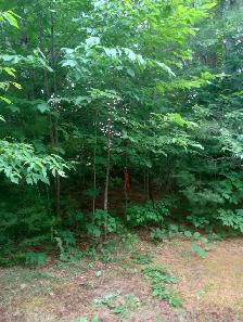 Recreational Property - Photo 3