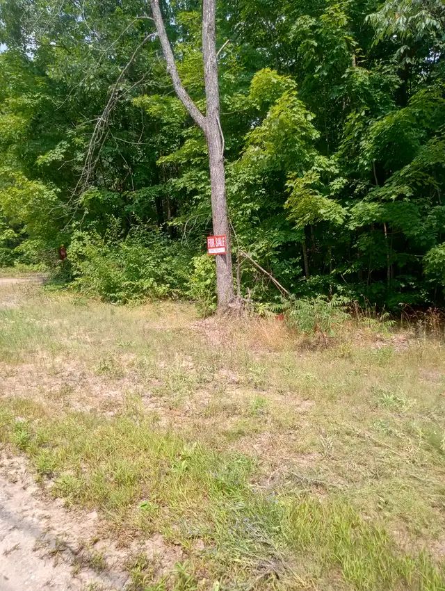 Recreational Property - Photo 7
